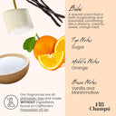 Bébé Shampoo Bar: Gentle, Protein-Rich Care for Sensitive Scalps and Fine Hair