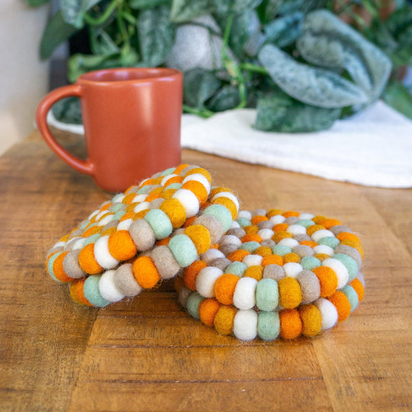 Pumpkin Patch Eco Coasters