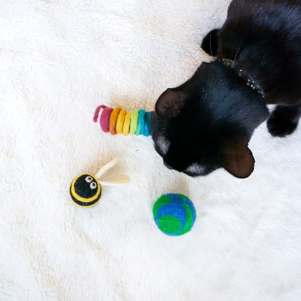 Paws For The Planet - Set of 3