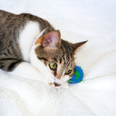 Paws For The Planet - Set of 3