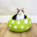 Green Mushroom Eco Kitty Cave