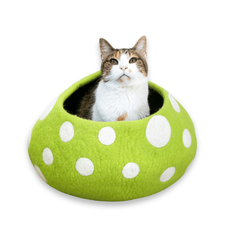 Green Mushroom Eco Kitty Cave