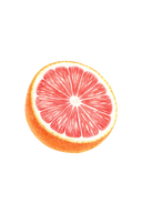 Dish Soap | Pink Grapefruit