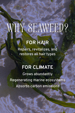 Hair & Scalp Serum | Hydration & Shine