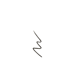 LIQUID EYE PEN BLÄCK