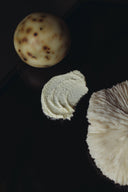 Imperfect Tallow Soap – Artisan Seconds