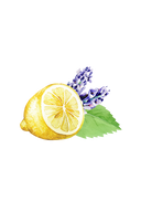 Floor Cleaner Concentrate | Lavender, Lemon & Mint