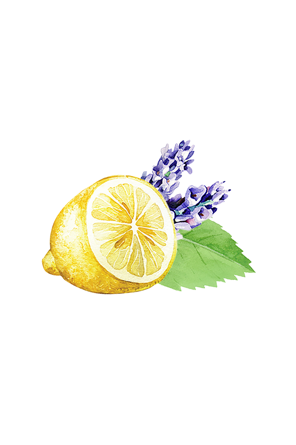 Lots of Purpose Spray Cleaner | Lavender, Lemon & Mint