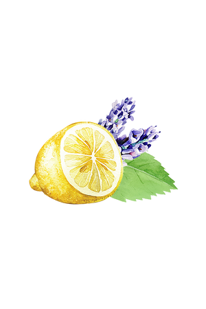 Lavender, Lemon & Mint Essential Oil Blend