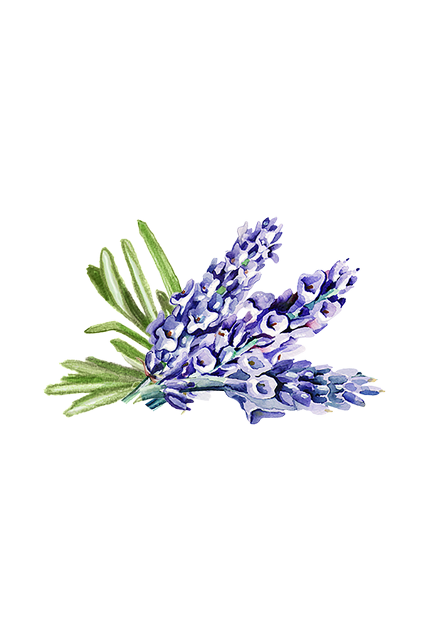Lavender & Rosemary Essential Oil Blend