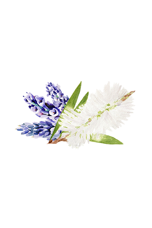 Lavender & Tea Tree Essential Oil Blend