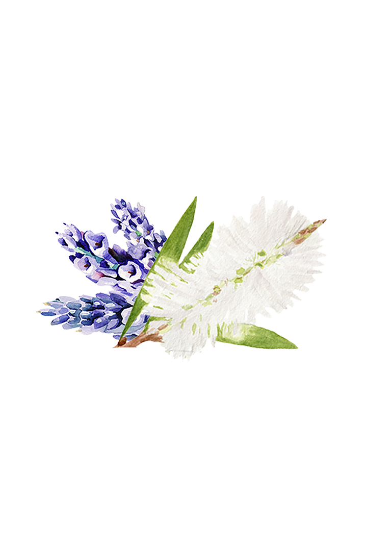 Soothing Shampoo | Lavender & Tea Tree
