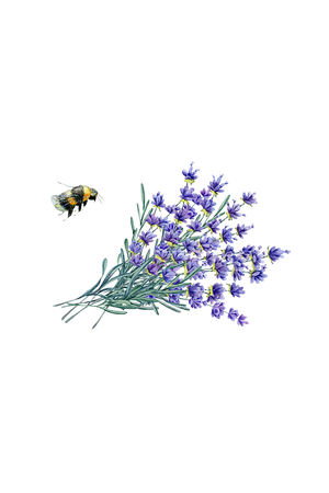 Linen Spray | Lavender
