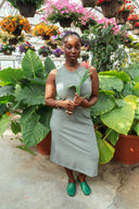 Serena Dress in Pistachio