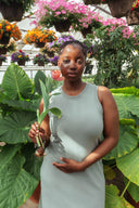 Serena Dress in Pistachio