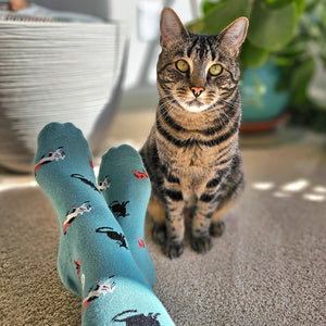 Socks that Save Cats