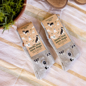 Socks that Save Dogs