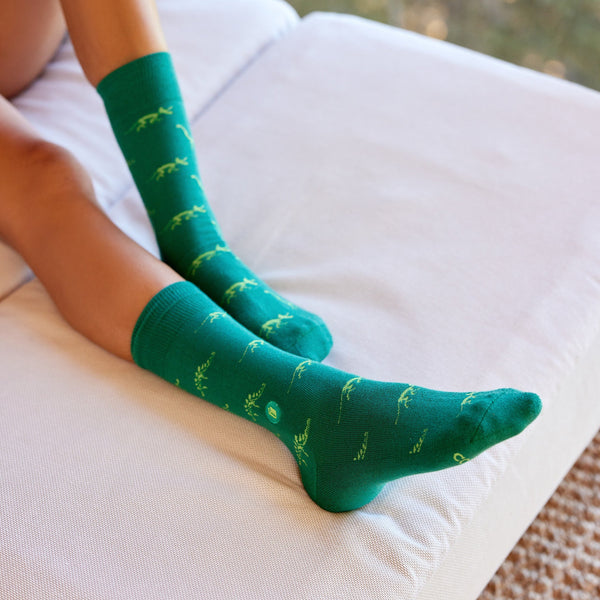 Socks that Give Books