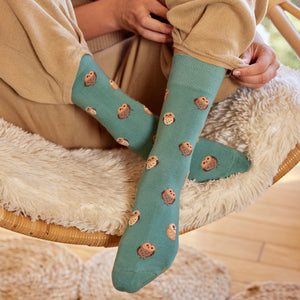 Socks that Protect Owls
