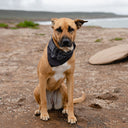 Bandana Towel: Rambler Black