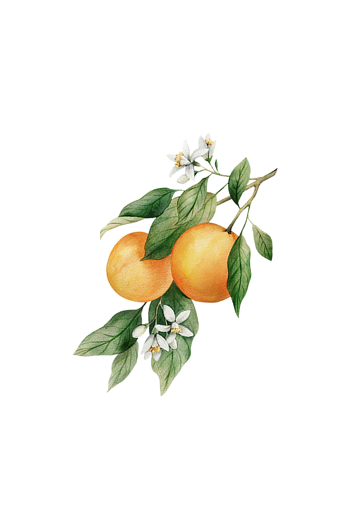 Orange Essential Oil