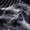 Original Towel: Mystic Moon Phase