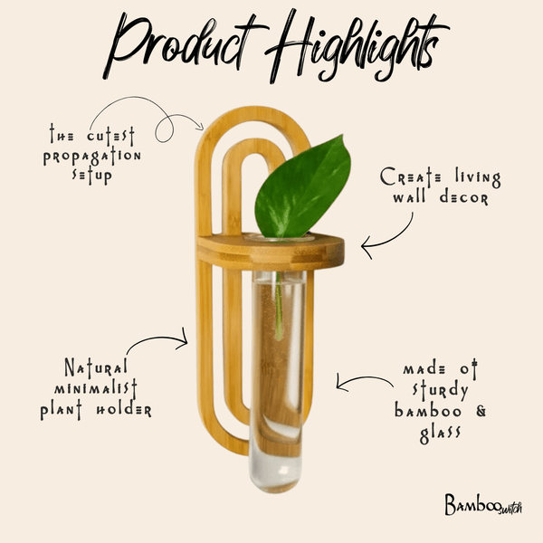 Propagation Wall Planter