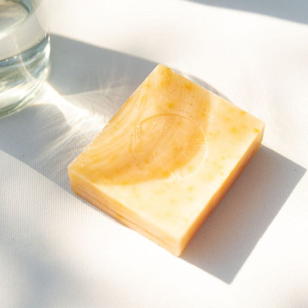 Pumpkin & Wild Carrot Complexion Soap