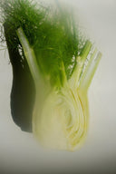 Sacred Scents Spiritual Balm – Clary Sage, Fennel & Tulsi Holy Basil