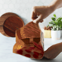 Compostable  Large Lunch Sacs