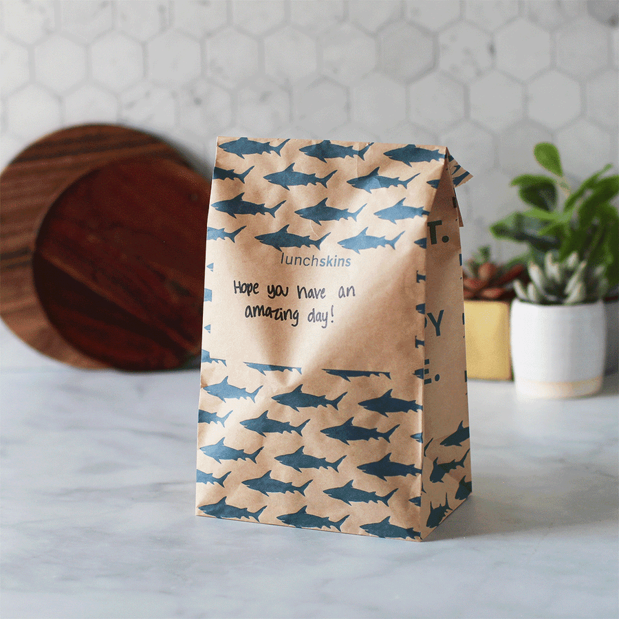 Compostable  Large Lunch Sacs