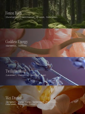 The Scent Discovery Set