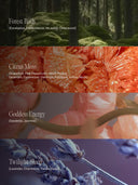 Aromatherapy Sensory Mist