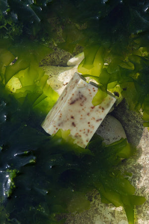 Sea Change Seaweed Bar – Neroli & Bladderwrack for Mineral-Rich Cleansing