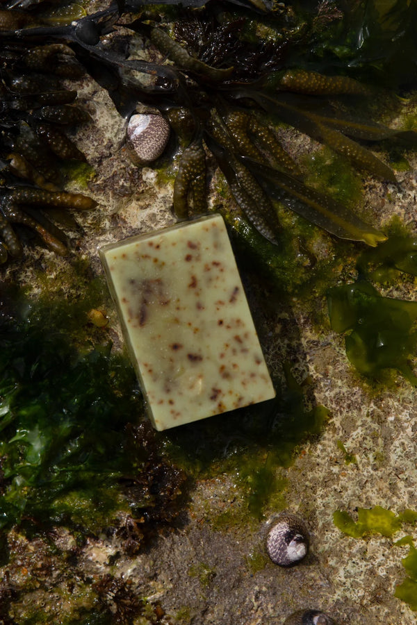 Sea Change Seaweed Bar – Neroli & Bladderwrack for Mineral-Rich Cleansing