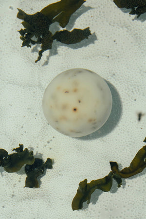 Sea Change – Seaweed Sphere Soap | Bladderwrack & Neroli
