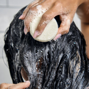 Shampoo Bar | Coconut