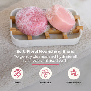 Shampoo & Conditioner Bar Duo