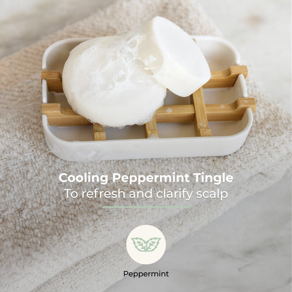Shampoo & Conditioner Bar Duo
