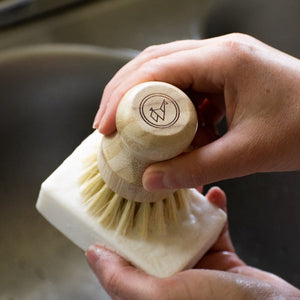 Eco-Friendly Dish Washing Starter Pack - Sparkling Clean & Green