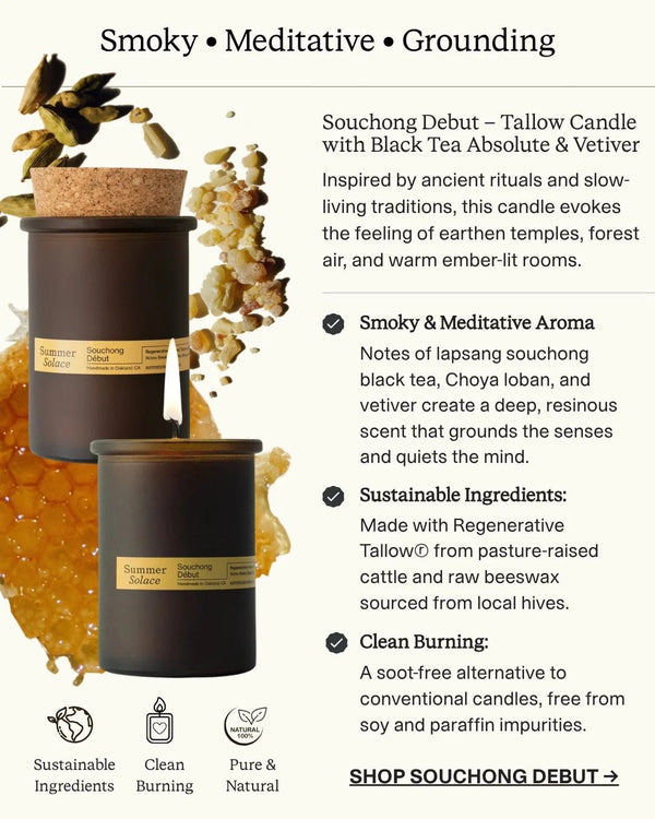 Souchong Debut – Tallow Candle with Black Tea Absolute & Vetiver | 6 oz