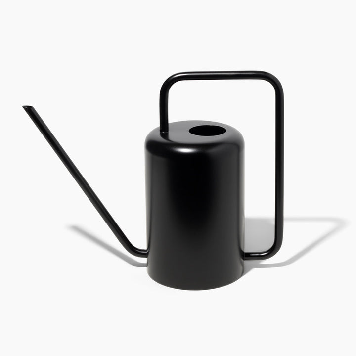 Stainless Steel Watering Can