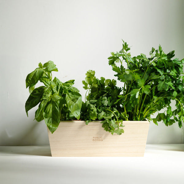 Wooden Herb Planter