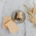 Dish Sponge Mini Kit