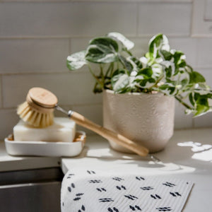 Long Handle Dish Brush
