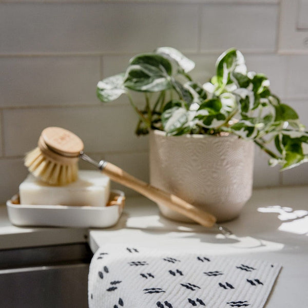 Long Handle Dish Brush