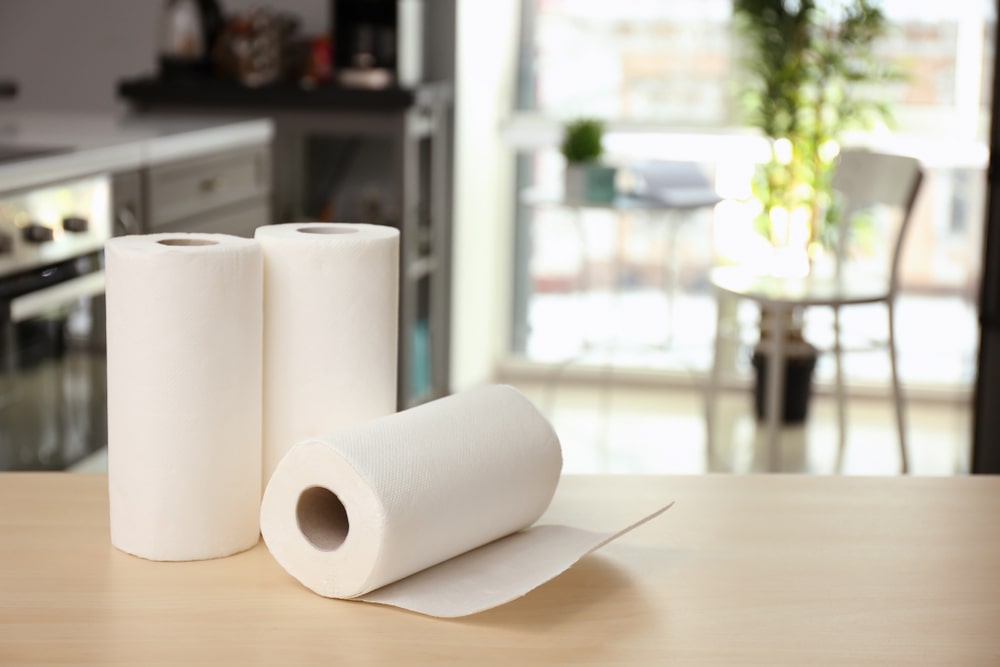 Shifting Gaia|Paper Towel Sustainability: Paving the Way Towards Eco-Friendly Solutions
